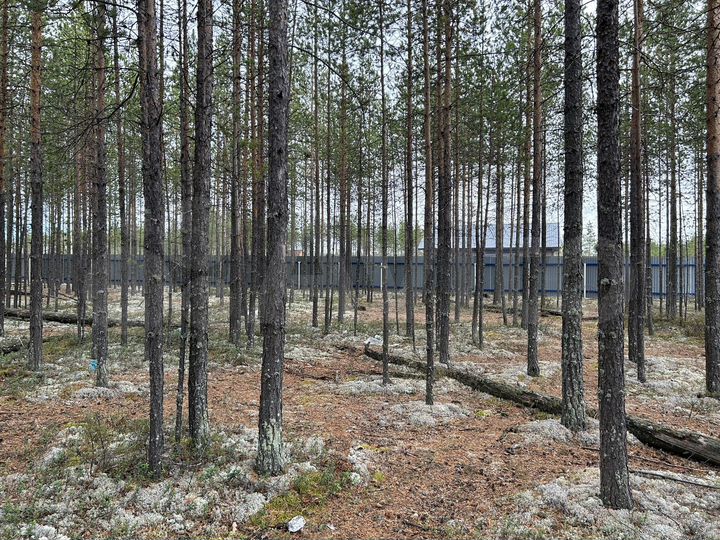 Участок 11 сот. (ИЖС)