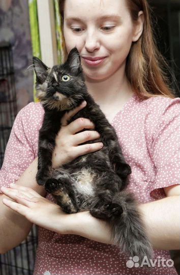 Леля в добрые руки