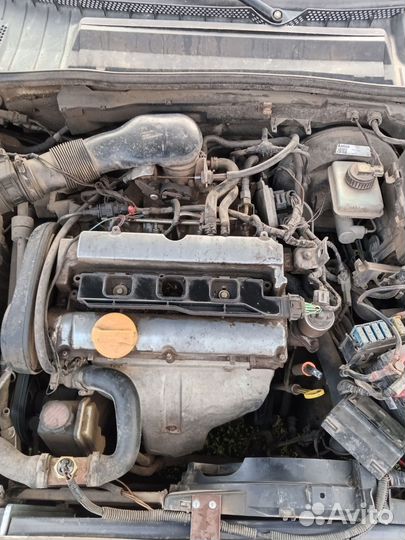 Opel Vectra 1.6 AT, 1999, 216 834 км