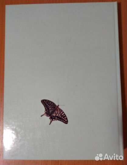 The butterflies of Russia, P.Y.Gorbunov