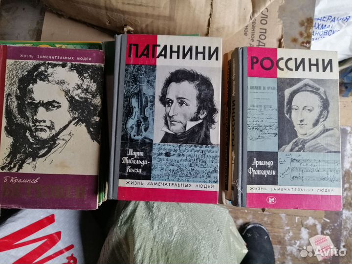 Книги и серии жизнь замечательных людей