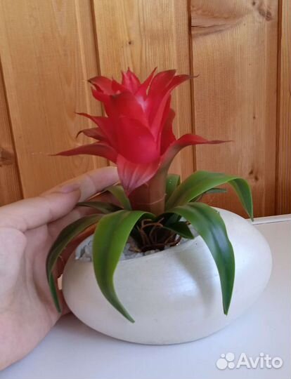 Искусственные растения