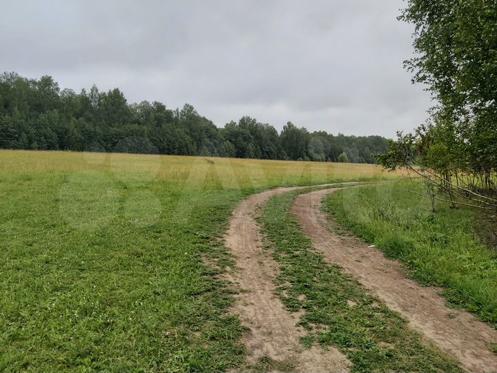 Участок 1,75 га (СНТ, ДНП)