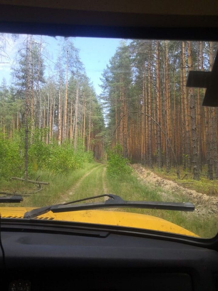 ВАЗ (LADA) 4x4 (Нива): фото владельца
