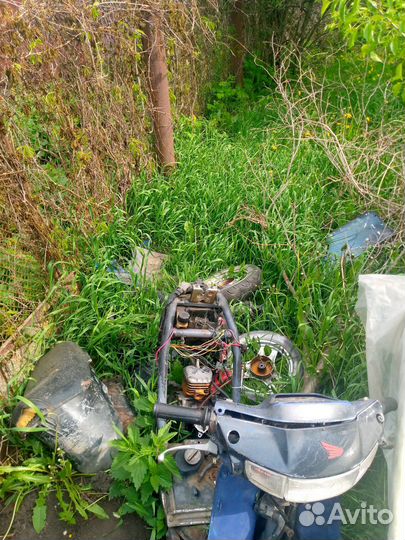 Хонда Дио af18