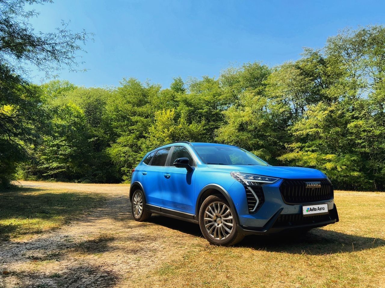 HAVAL Jolion: фото владельца