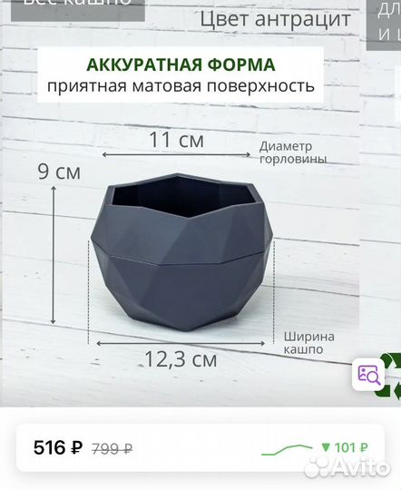 Традесканция рейнбоу хилл