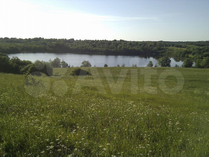 Участок 35 сот. (СНТ, ДНП)