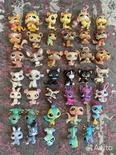 Littlest pet shop