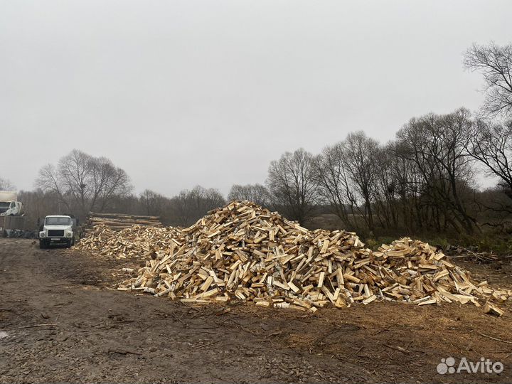 Кольщик дров