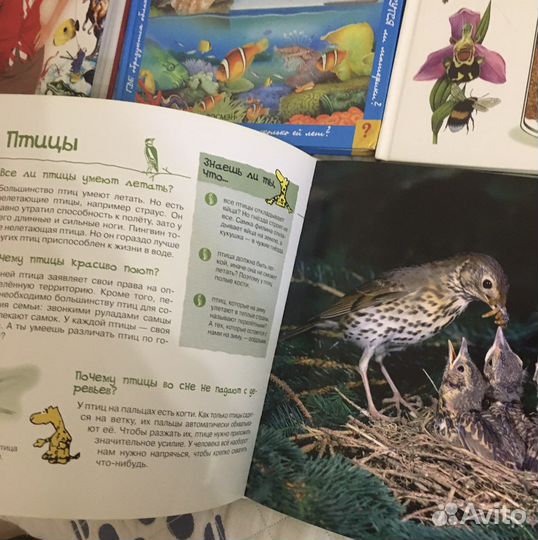 Книги энциклопедии