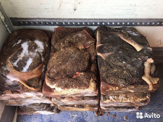 Продаётся мясо для собак