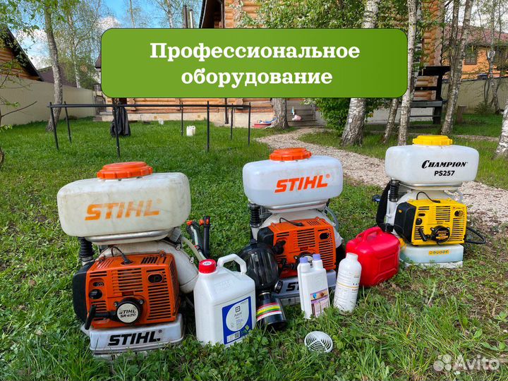 Уничтожение клещей и короеда. Сезонная обработка