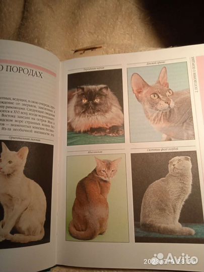 Товары для домашних животных