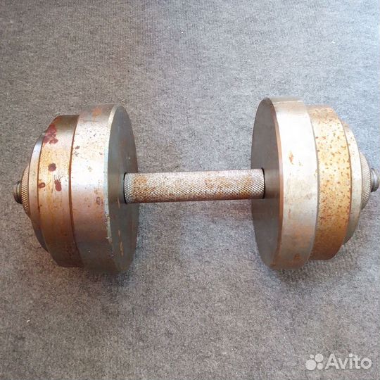 Гантеля 20кг