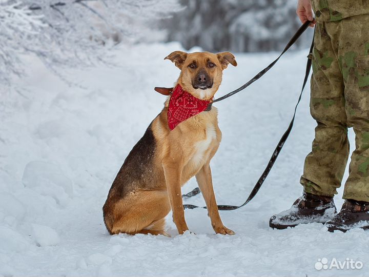 Локи очень одиноко в приюте