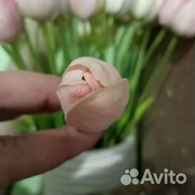 Тюльпаны из конфет своими руками на 8 Марта