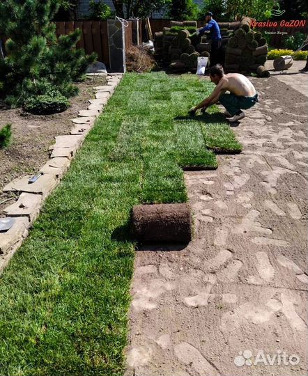 Рулонный газон art/984z