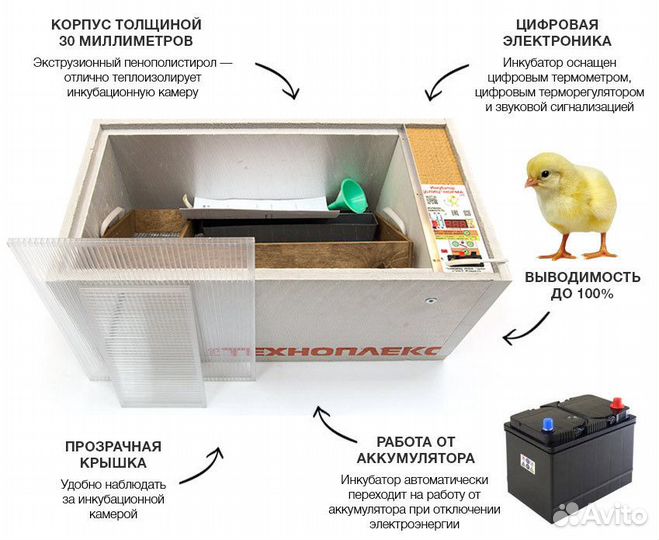 Инкубатор Блиц Матрица Дели цифровой + книга