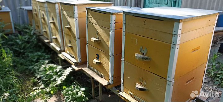 Продам ульи для пчел