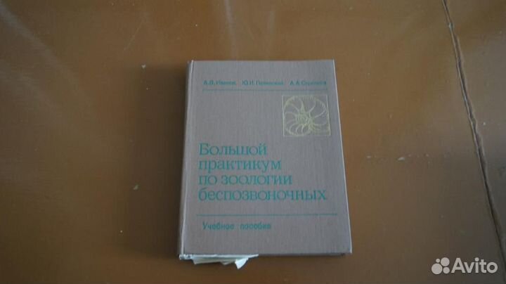 Большой практикум по зоологии безпозвоночных 1981