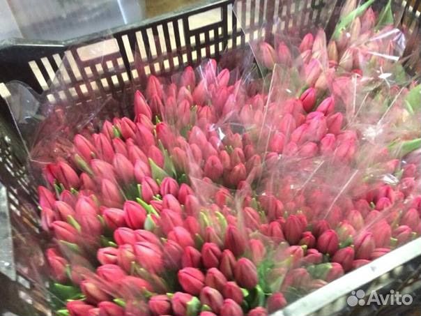 Тюльпаны к 8 марта оптом