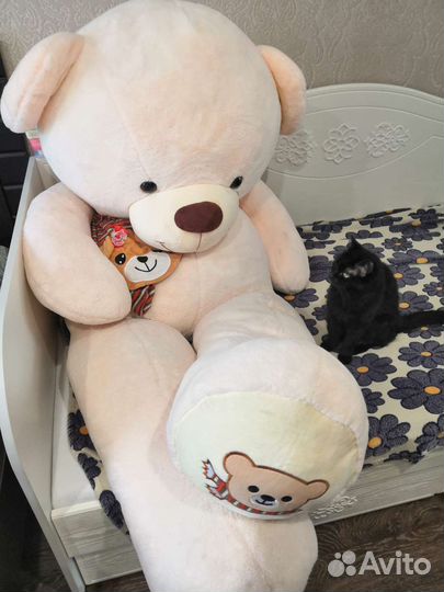 Медведь большой