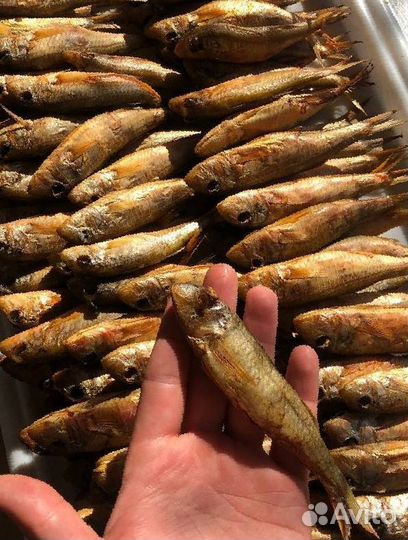 Барабуля копченая