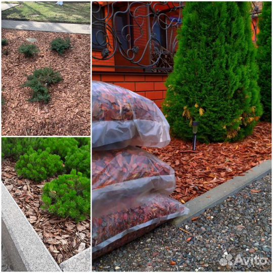 Мульча кора лиственницы