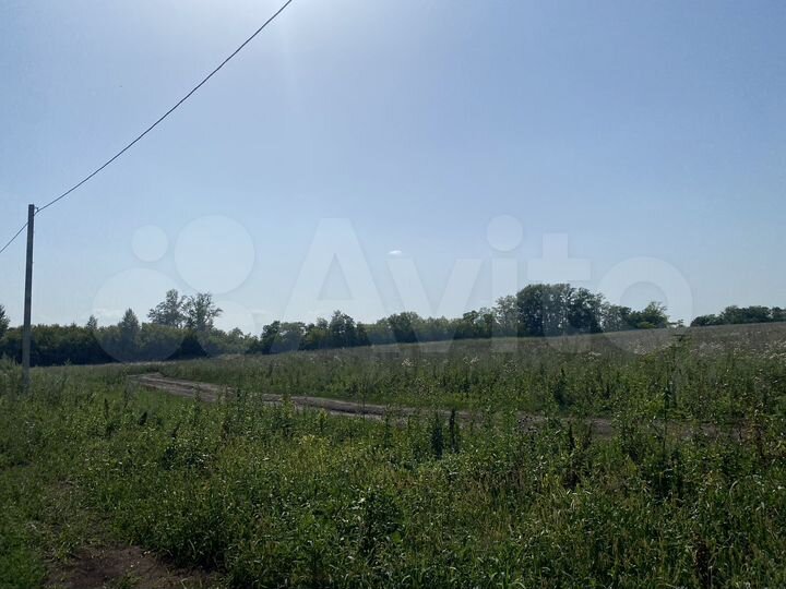 Участок 8 сот. (ИЖС)