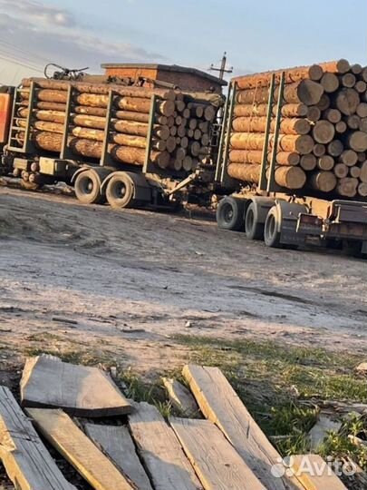 Рамщик на ленточную пилораму