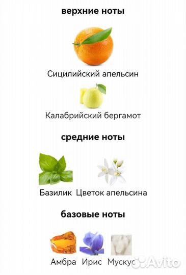 Orange Dolce&Gabbana для мужчин и женщин