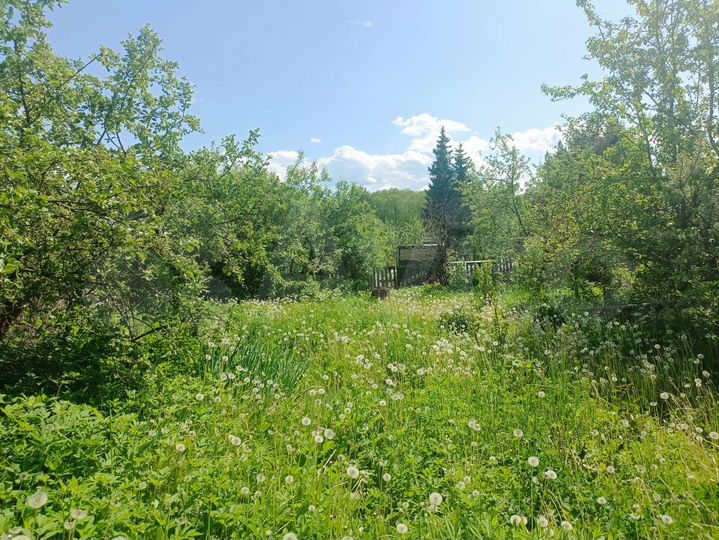 Участок 5,1 сот. (СНТ, ДНП)