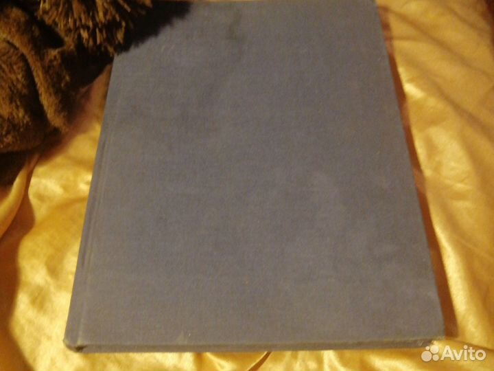 Книга, шагалл