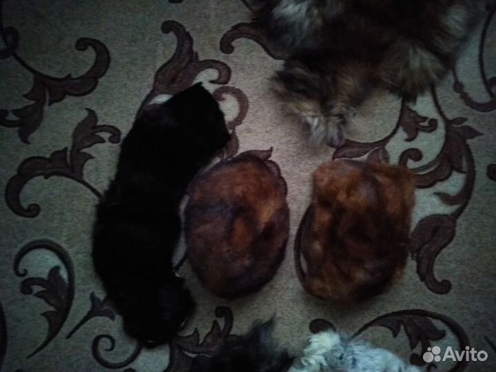 Хвостики лисы для новогодних костюмов и помпонов