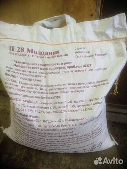 Корм для птиц