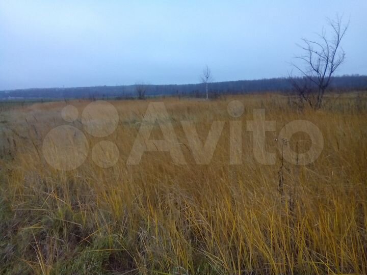 Участок 25 сот. (ИЖС)
