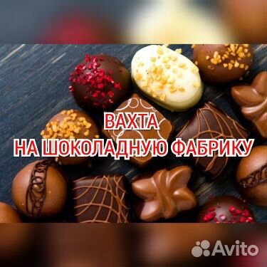 Упаковщик/ца на шоколадную фабрику жилье питание