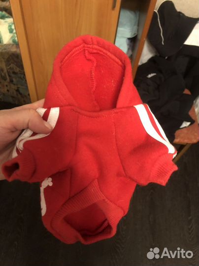 Кофта для собачки