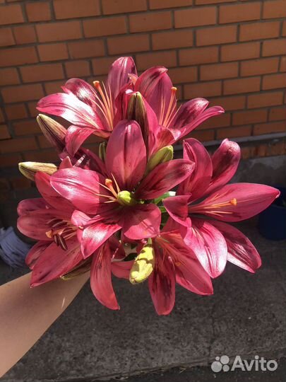 Лилия на срез