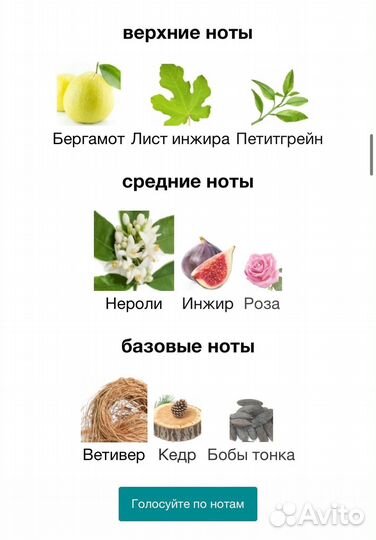 Guerlain Aqua Allegoria Nerolia Vetiver