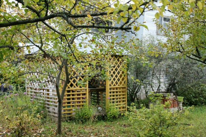 Дача 31 м² на участке 4 сот.