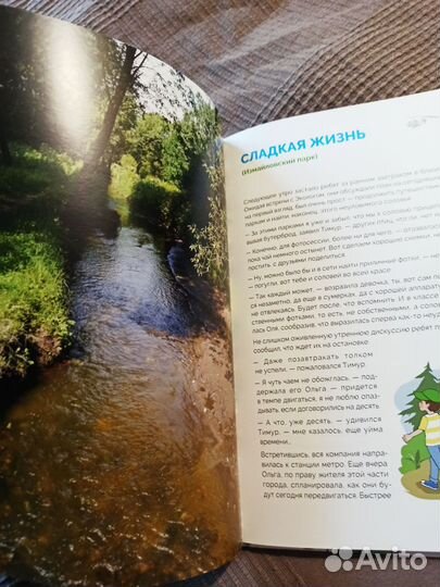 Природные парки Москвы: прогулки с экологом