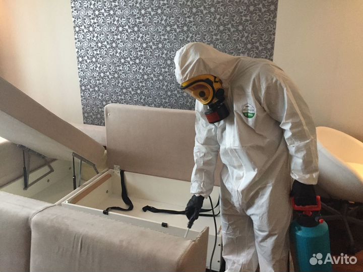 Дезинфекция, дезинсекция, дератизация