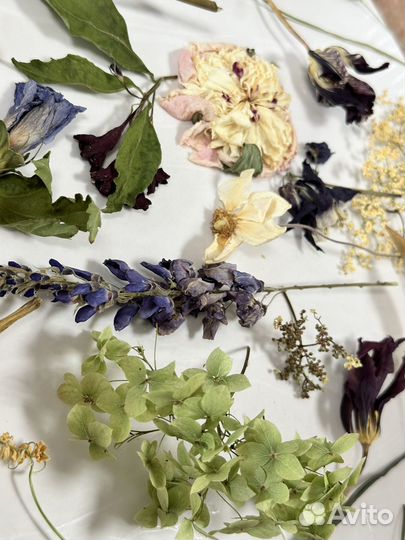 Готовый набор сухоцветов для эпоксидной смолы