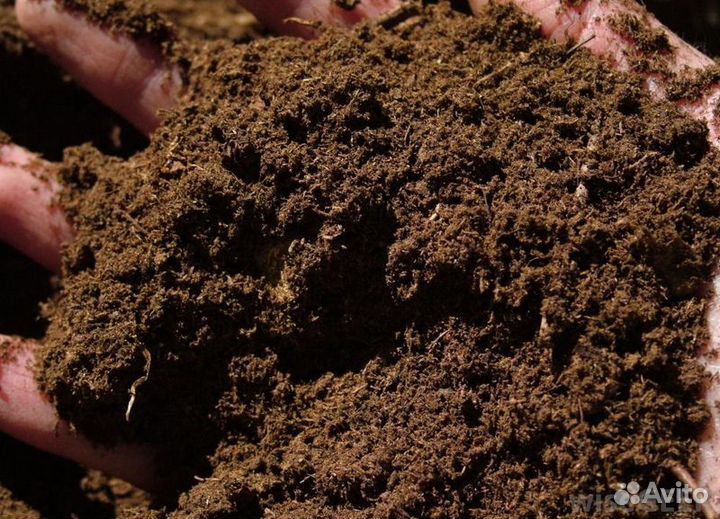Торф верховой
