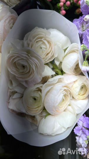 Ранункулюс доставка цветов