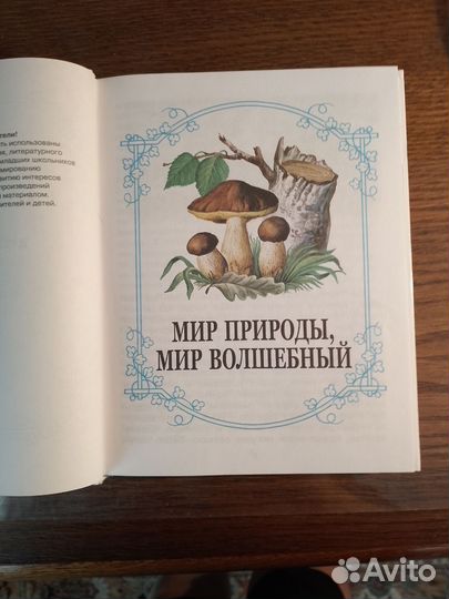 Книга Родничок 3 класс
