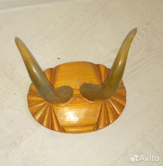 Рога животных