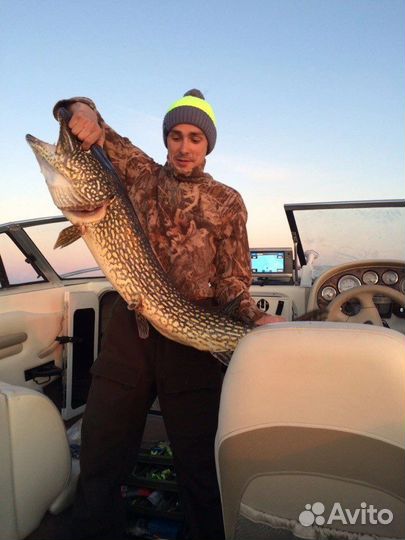 Рыбалка с panoptix на рыбинском водохранилище